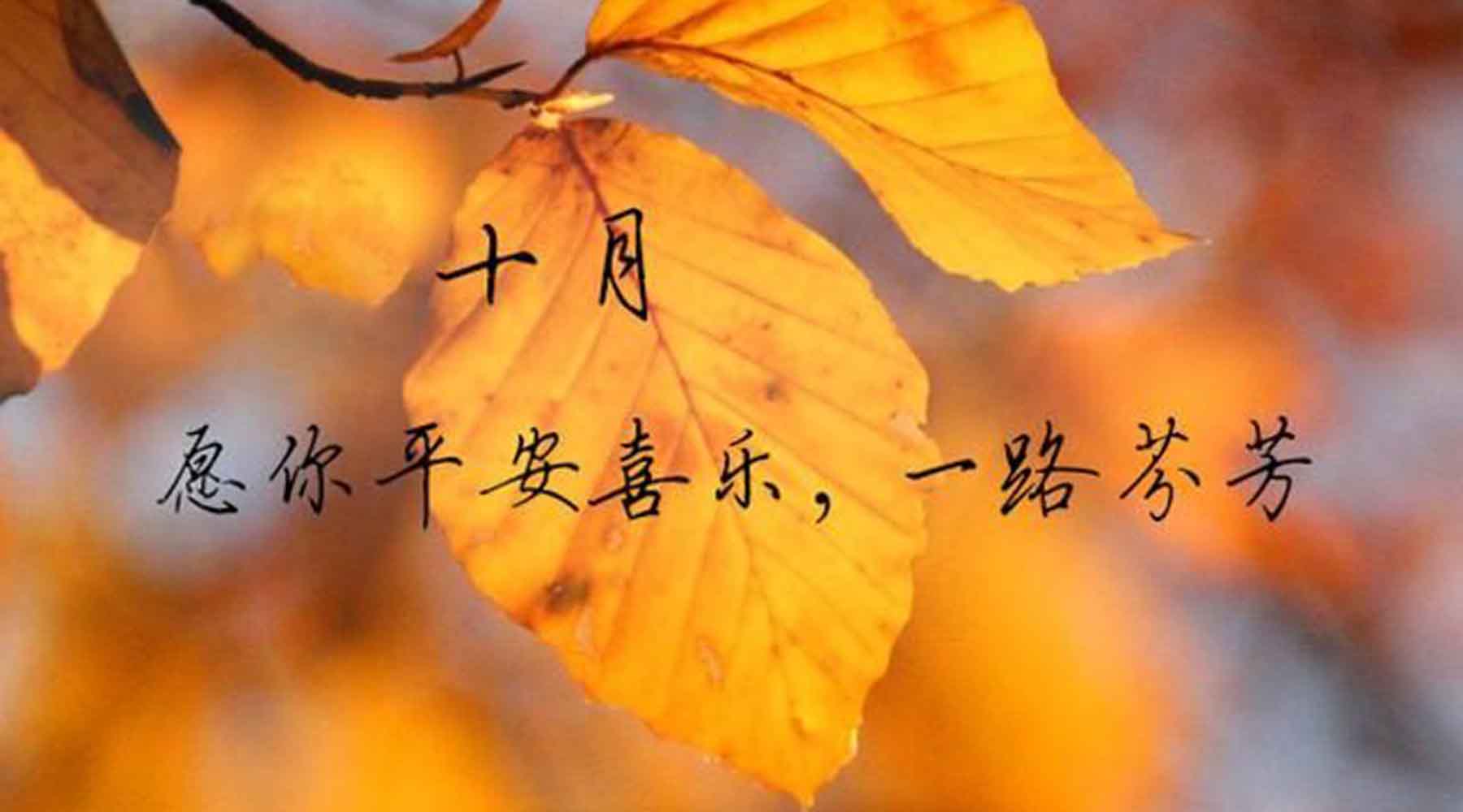 十月，致重要的你
